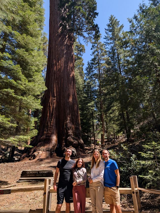 Parque Nacional Sequoia