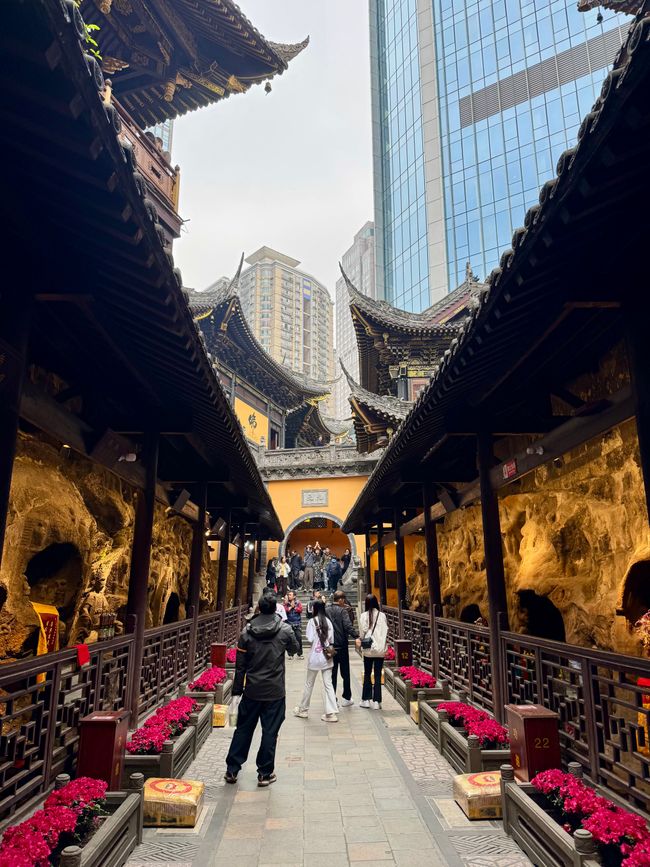 With the Bullet Trains 🚅
CHINA 🇨🇳 & JAPAN 🇯🇵 Discovering      
Part 3: Chongqing
