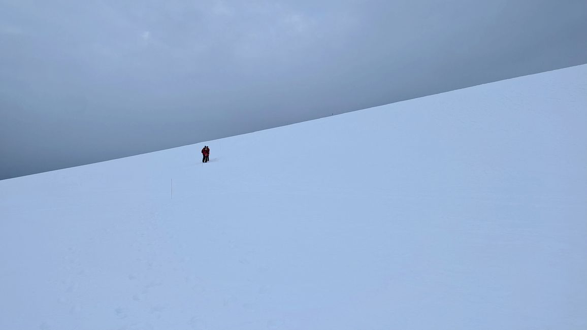 Antartide!