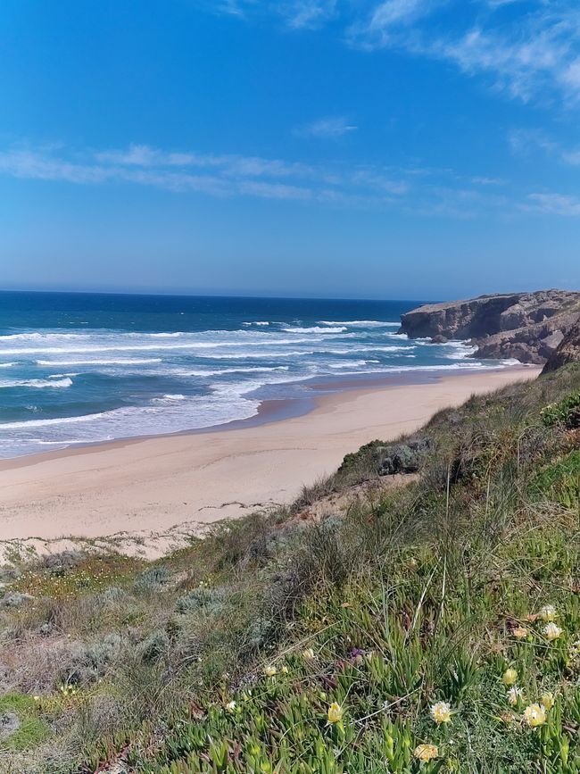Arrifana -> Aljezur