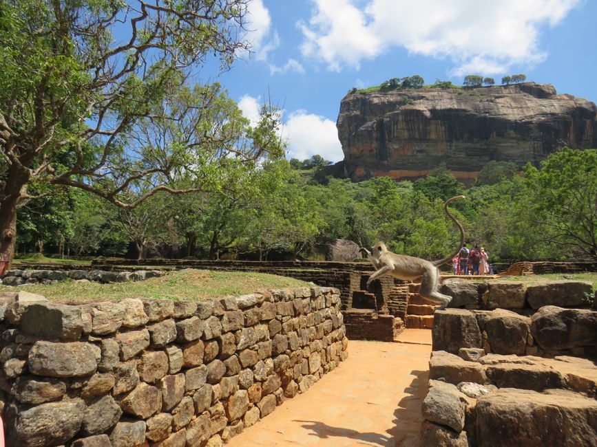 Sigiriya - Pidarungala Rock e Lions Rock