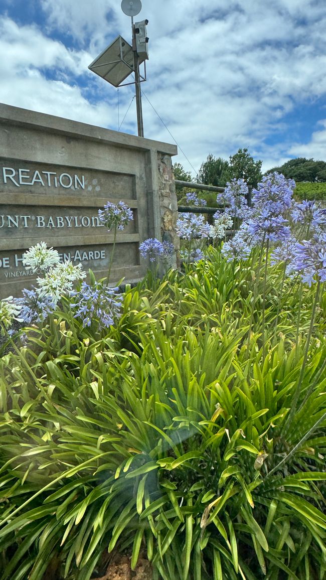 Creation Weingut Einfahrt