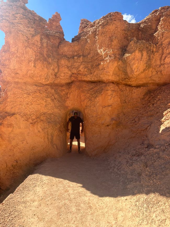 Canyon Land:Zion and  Bryce Canyon❤️