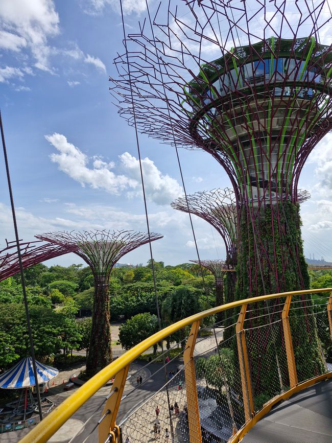 Gardens by the Bay