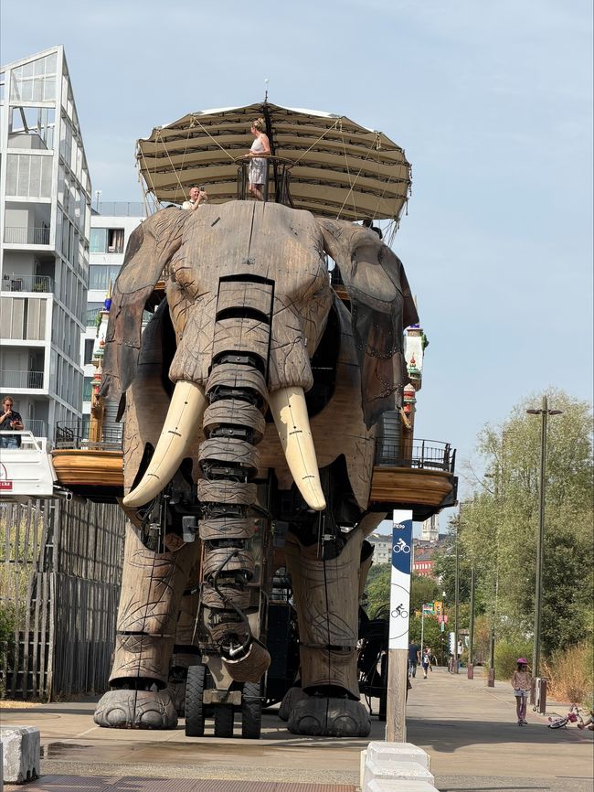 Nantes 13-14 luglio