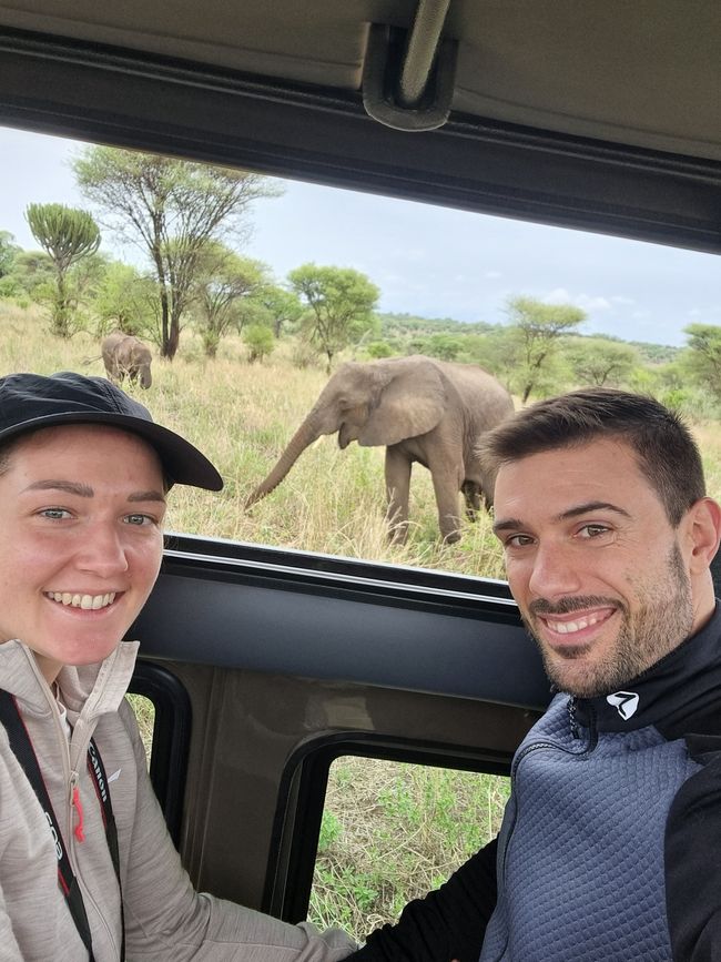 Tansania - Tag 2: Tarangire Nationalpark