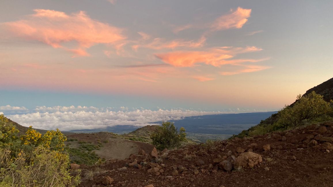 D4 - Helitour Blue Hawaiian helicopter 🚁 Hilo, Akaka waterfalls and Mauna Kea sunset