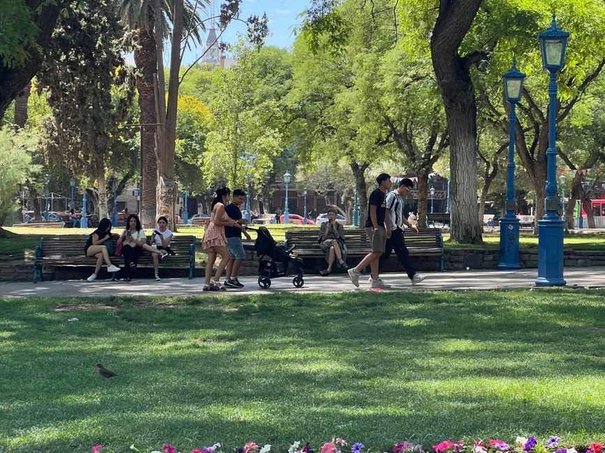 🛠️👨‍💻Tage 49-50 (25.-26.11.) Mendoza