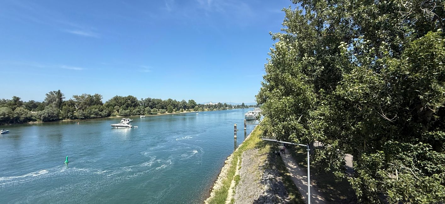 die Hafenseite von Breisach