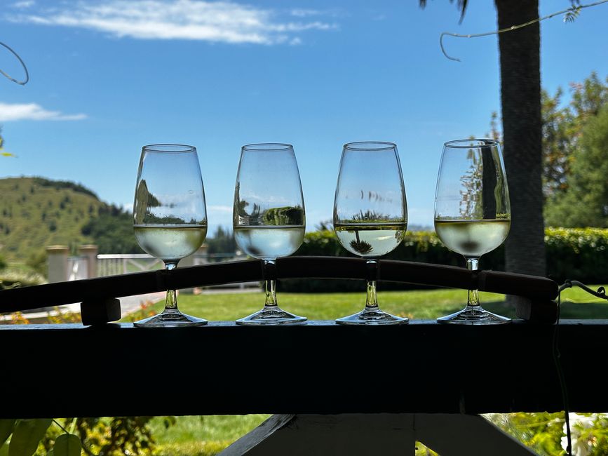 We drink our way through Hawke's Bay's Vineyards