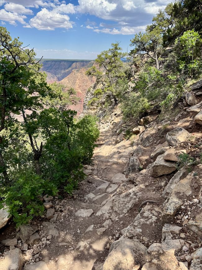 Grand Canyon