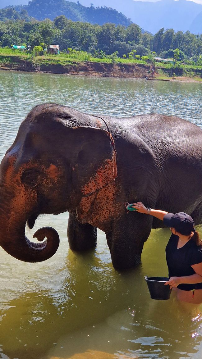 Making new friends in Luang Prabang