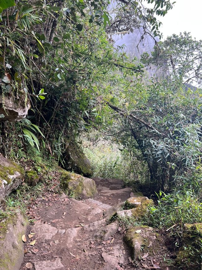 👷‍♂️标签 31-1 (3.11.) 马丘比丘，登上惠纳比丘山