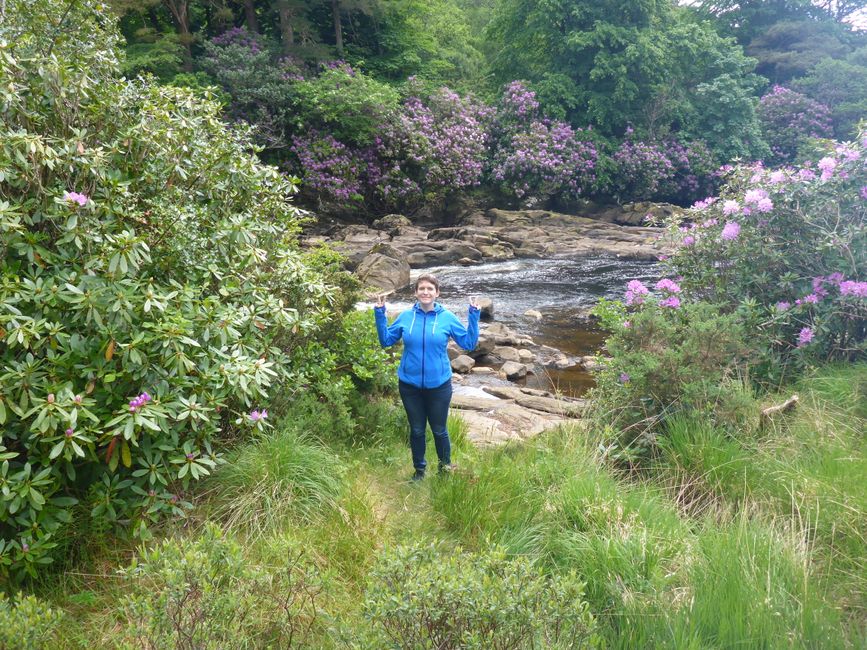Irland