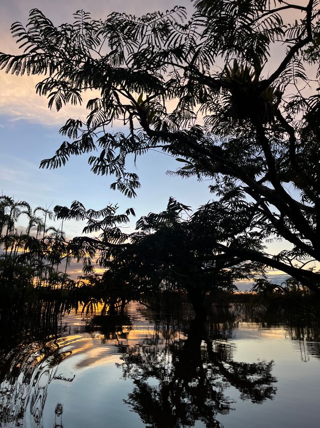 AMAZONAS- Parte 2