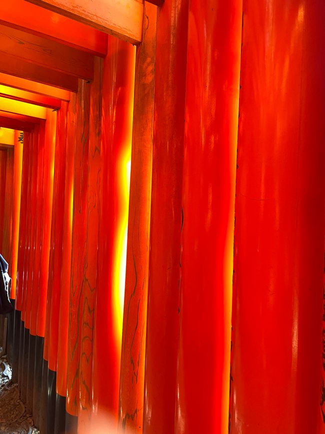 10.Kapitel: Bergsteigen am Fushimi Inari-Taisha