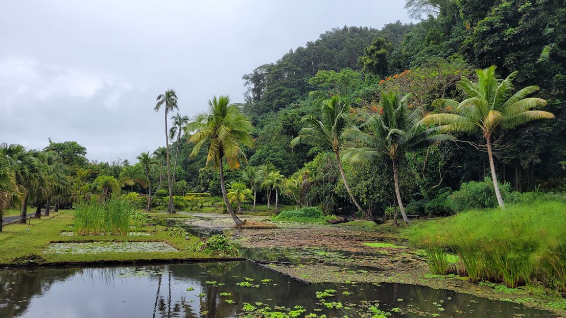 Tour around the edge of Tahiti-Nui