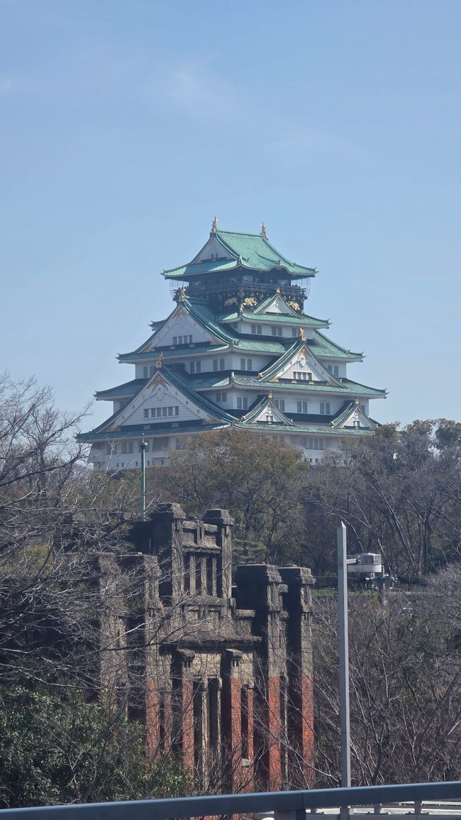 Osaka 'kuidaore' ➡️ mangiare fino a cadere