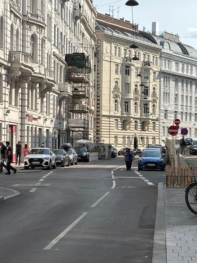 Viena