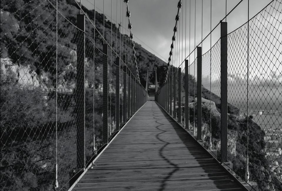 Affenstark im Nebel – Gibraltar zum Anfassen