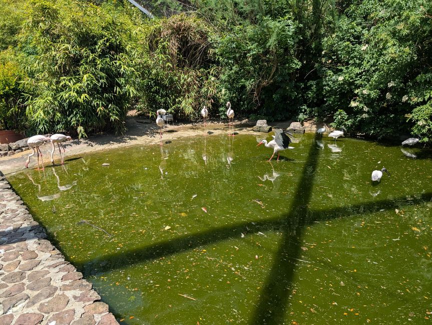 Ludwigsburg ● Blühender Barock Garten