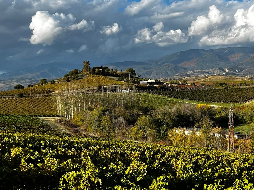 Le paysage rappelle la Toscane