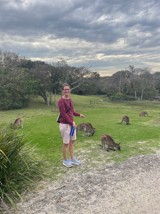 Jervis Bay