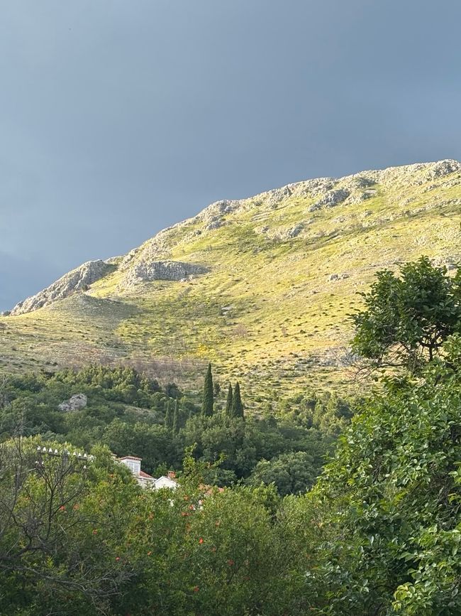 Mlini e Dubrovnik