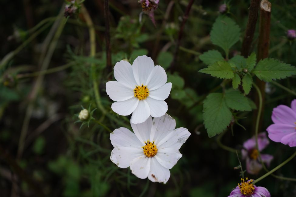 화산산성 하늘전망대