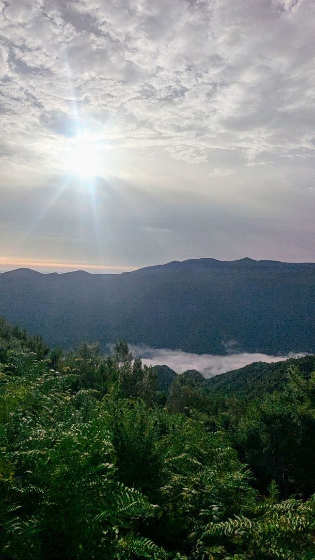 Tag 13: Levada da Ribeira da Janela & Nordwestküste
