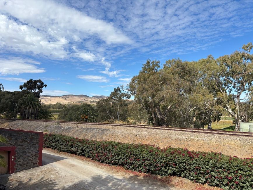 Tanunda