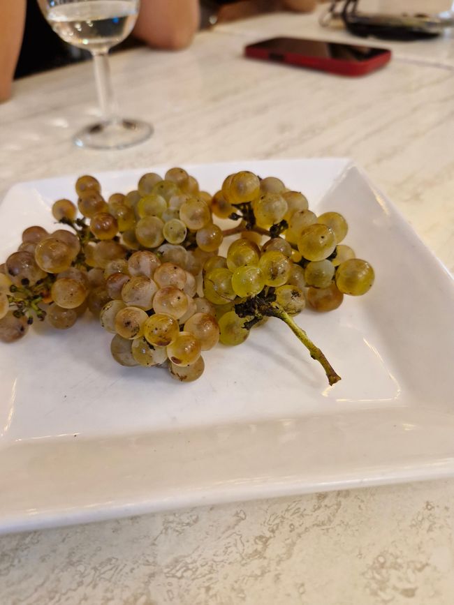 Weintrauben - also die Wein Weintrauben