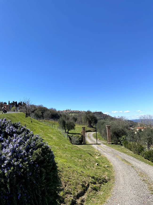 Tuscany Tour - Stop 3: Wine Tasting in Montalcino