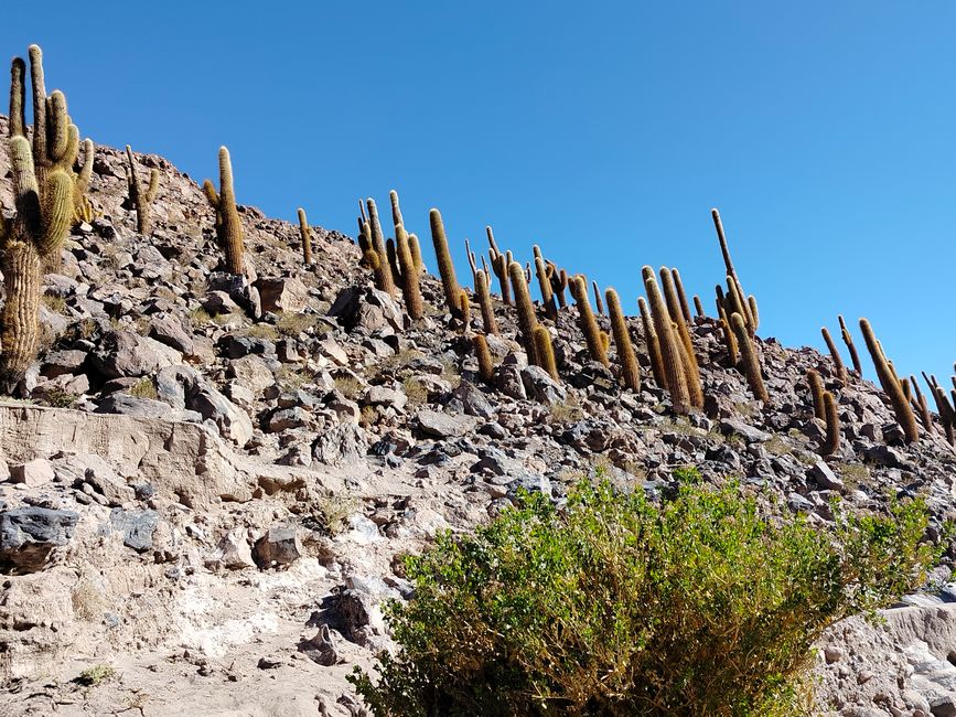 San Pedro de Atacama (Parte 2)
