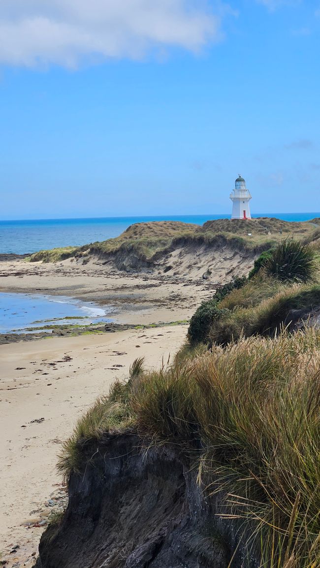 Clifden - Monkey Island - Riverton - Invercargill - Nugget Point