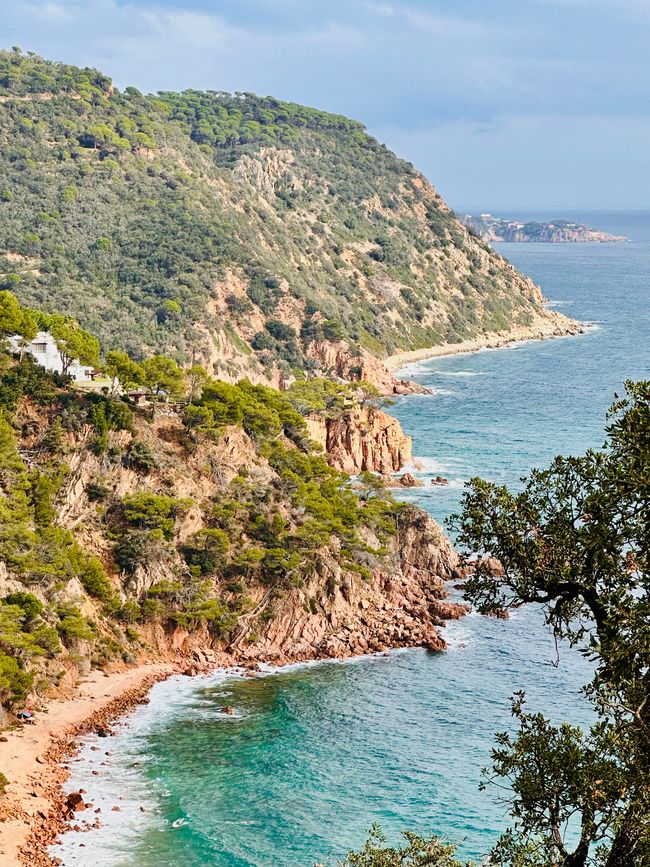 We are doing well, thank you! 
Coastal road from Sant Feliu de Guíxols to Tossa de Mar