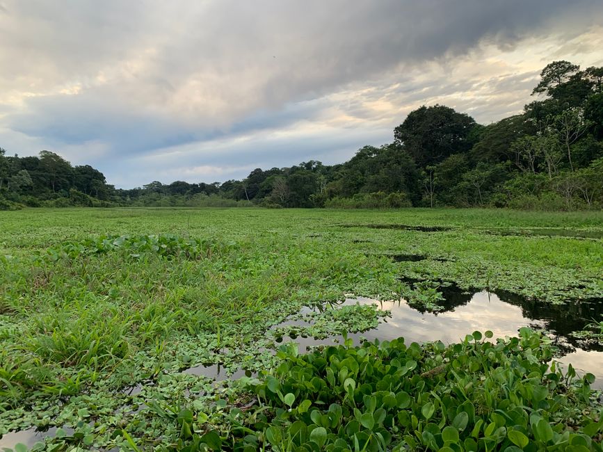 Trinidad (Chuchini Reservat)