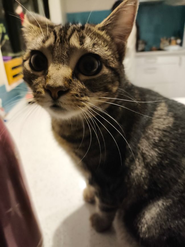 Time until school starts