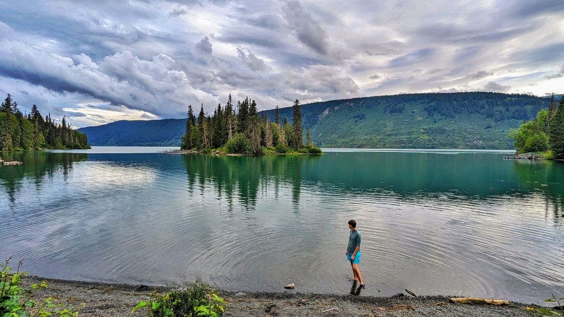 Etiqueta 16: Stewart, BC / Hyder, AK - Lago Meziadin: Parada de osos