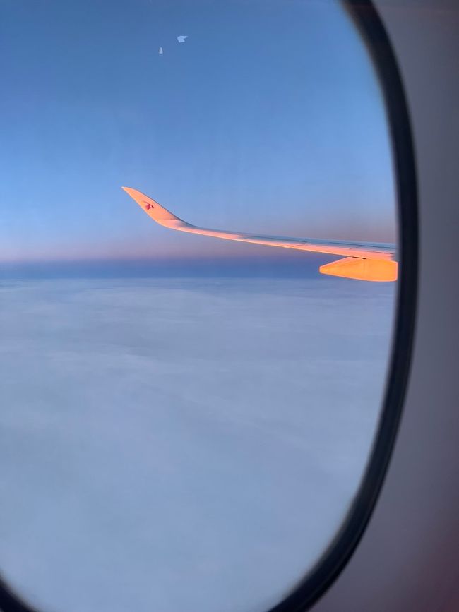 Gelandet in Singapur