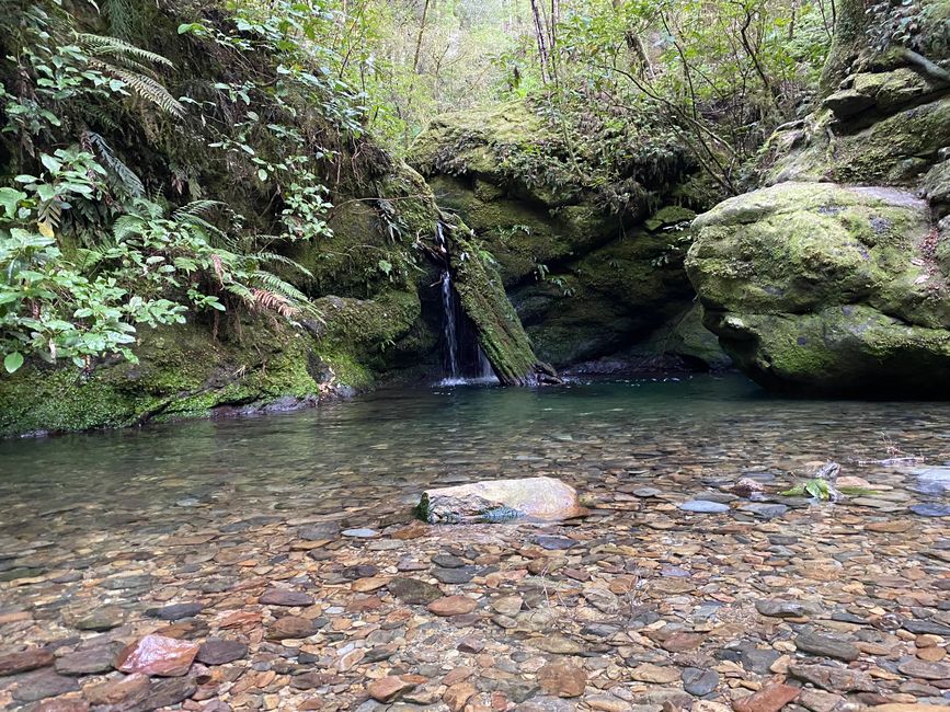 Wasserfall Pelorus Bridge - Emerald Pool