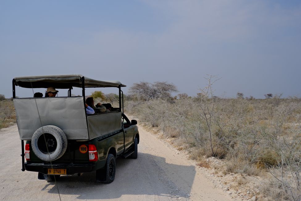 Ethosa Nationalpark 🐘🦒