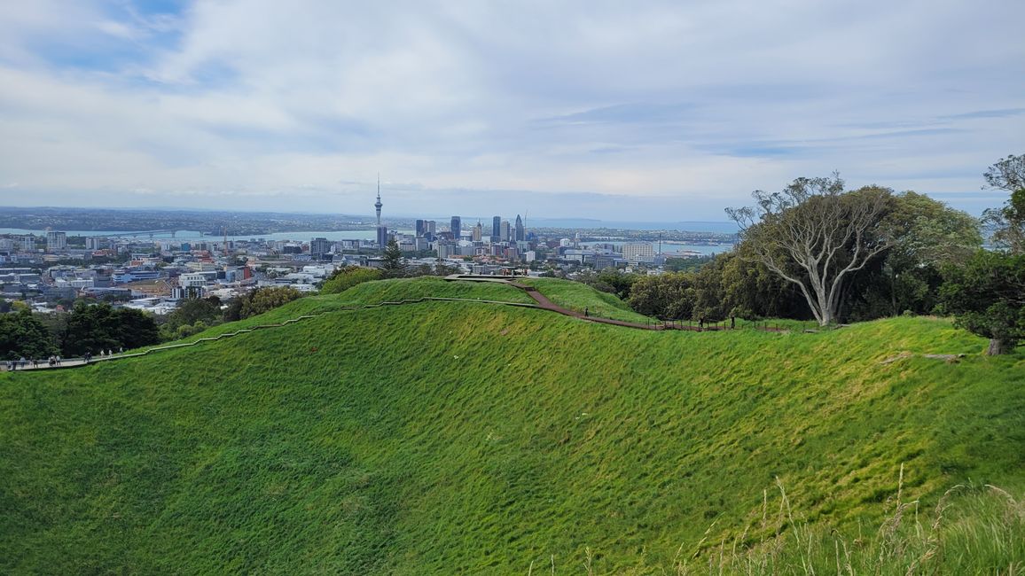 Thank the Maoris - We can visit Auckland