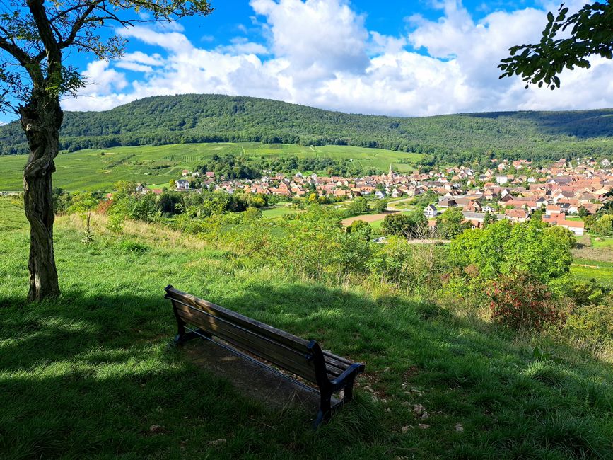 Blick auf Orschwihr