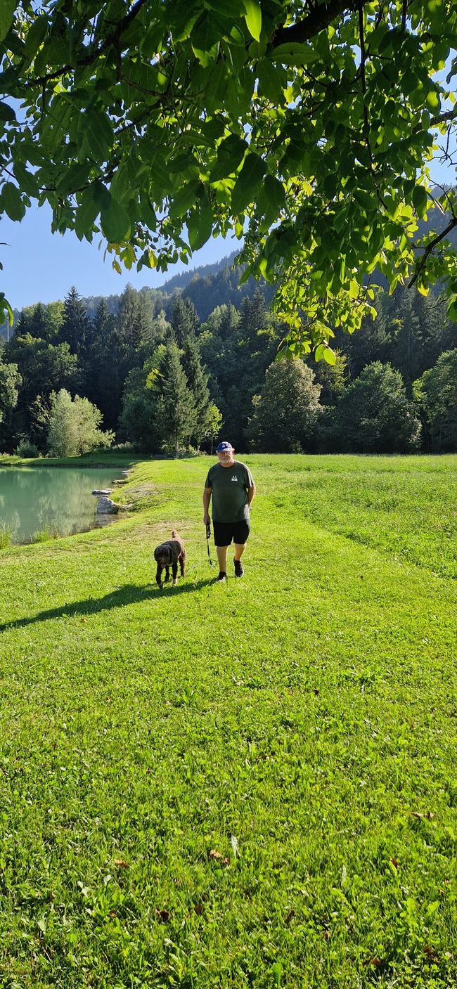 Fischerteich mit grossen Graskarpfen