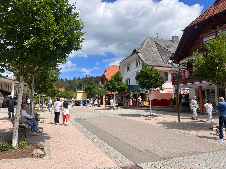 25a Wanderung um den Titisee