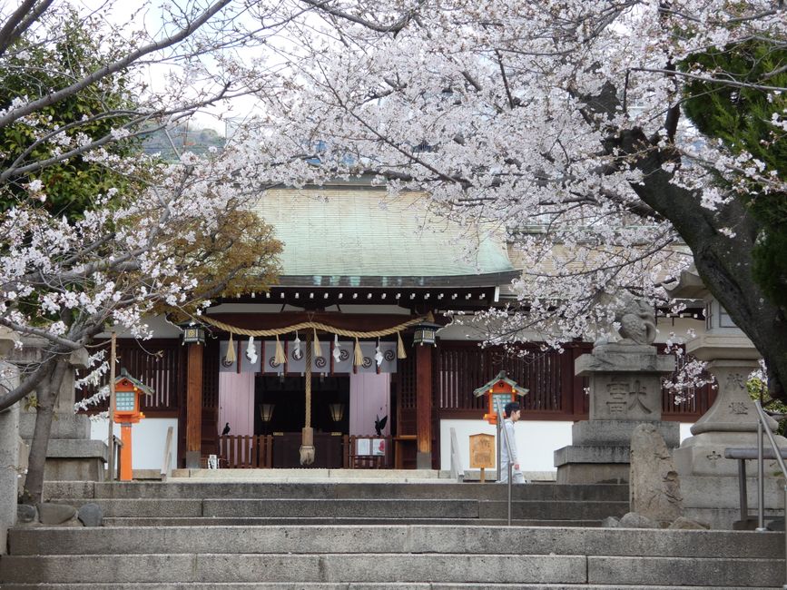 Kōbe, 2. April 2026