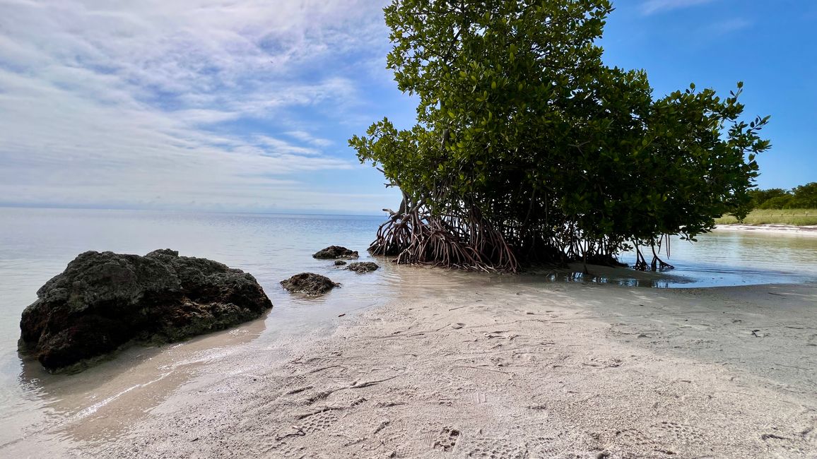 Tag 397 - Back to Miami-Beach