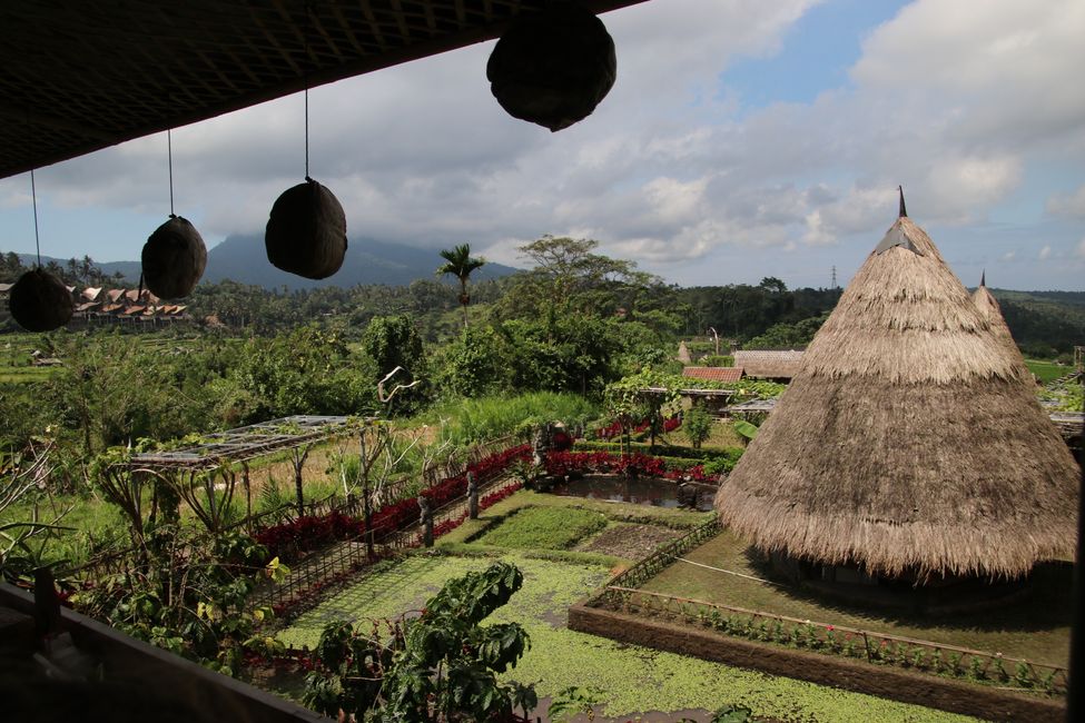 Tag 12 : En route dans le nord-est de Bali