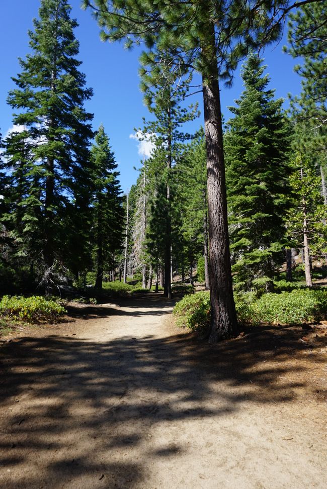 Tag 5 - ein schöner Tag am Lake Tahoe
